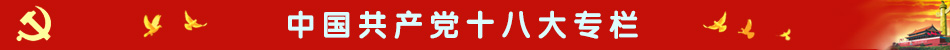 中共十八大